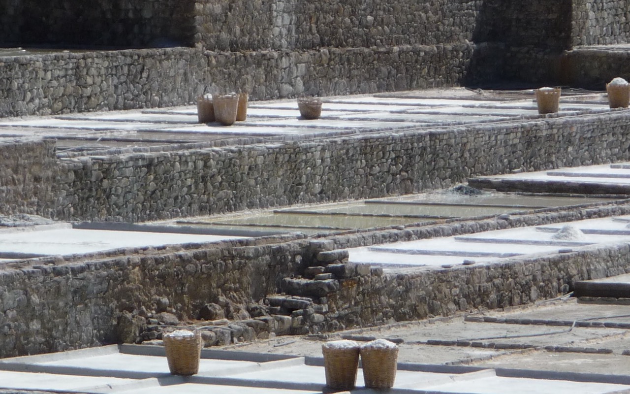 P1000739 copia.jpg